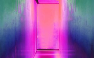 Tendências do mercado financeiro e das fintechs brasileiras