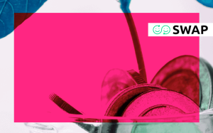 Como a Swap levantou mais de R$ 17 milhões em sua primeira rodada?