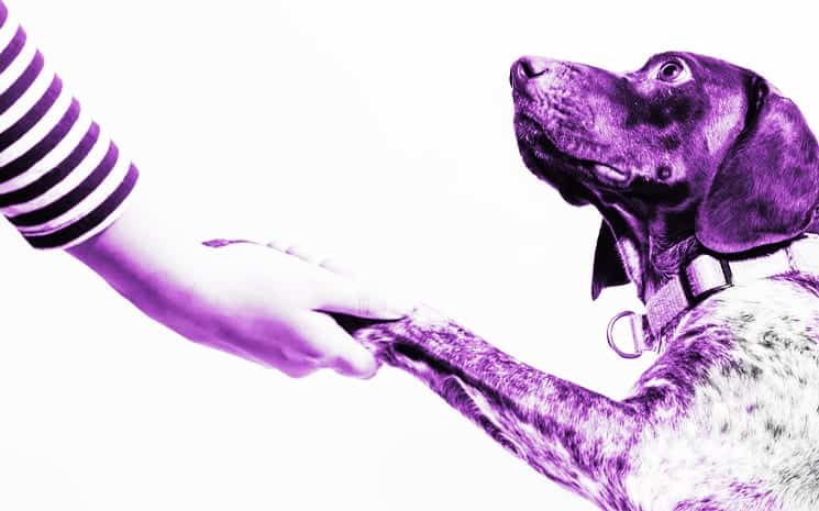 Startups: diferenciais e soluções personalizadas para os clientes