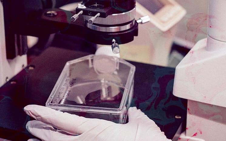 A transformação da medicina diagnóstica