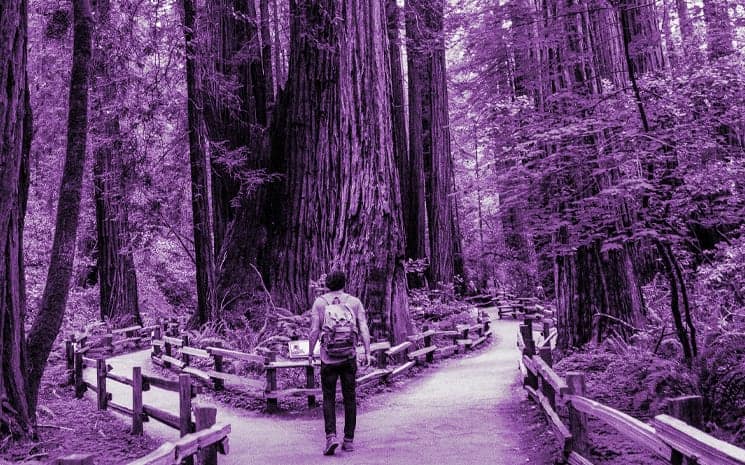 Como levantar recurso para sua startup, do Pré-seed até Série A