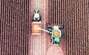 Inovação e tecnologia: o Blockchain no agronegócio