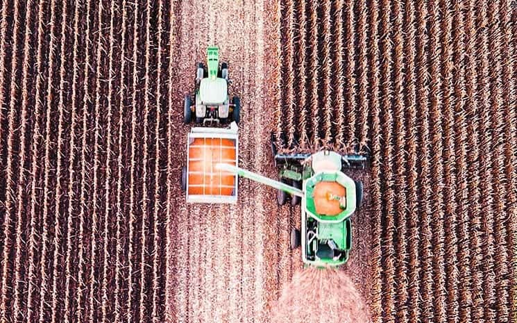 Inovação e tecnologia: o Blockchain no agronegócio