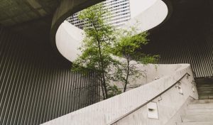 Como a inovação aberta pode ajudar empresas a atingirem métricas ESG