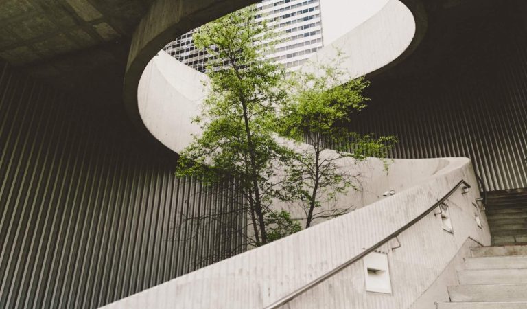 Como a inovação aberta pode ajudar empresas a atingirem métricas ESG