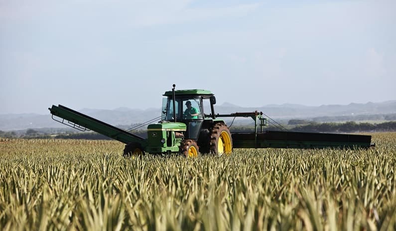 Agtechs: entenda o panorama das startups latino-americanas do agronegócio