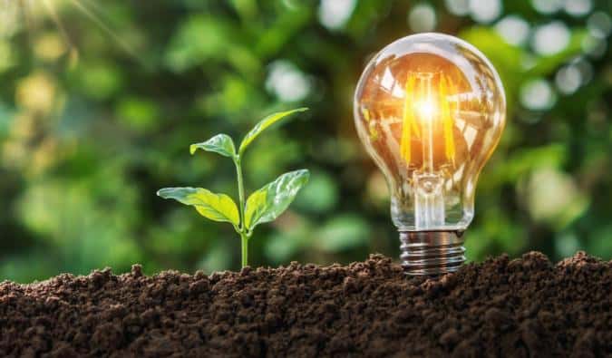 COP26: Conheça duas startups que participaram da conferência