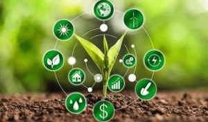 10 startups agro para acompanhar